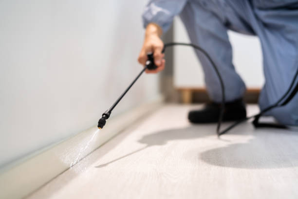 Licensed Cockroach Control service in Danville, IL - Nex Pest Control