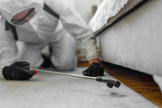 Professional Cockroach Control technician working in Danville, IL