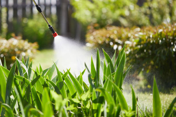 24/7 Emergency Cockroach Control experts in Danville, IL