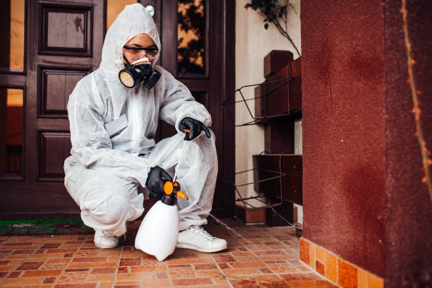 Reliable Cockroach Control contractor in Danville, IL by Nex Pest Control