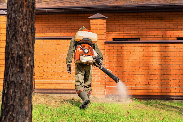 Top rated local Cockroach Control specialists in Danville, IL